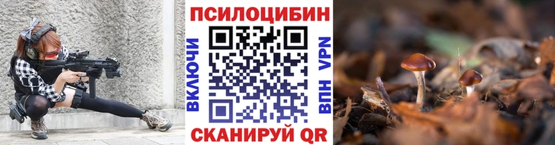 Купить  Белокуриха  Псилоцибиновые грибы Cubensis 